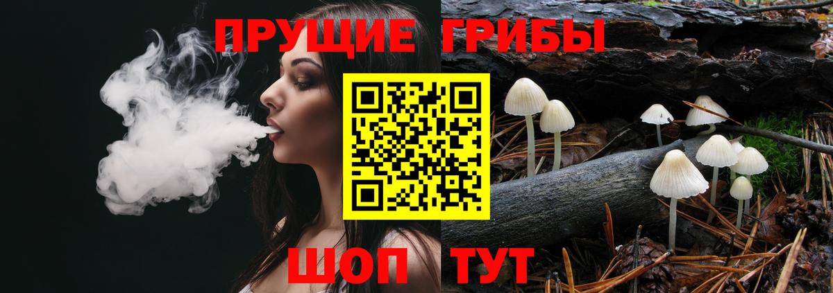 Галлюциногенные грибы мухоморы Майкоп